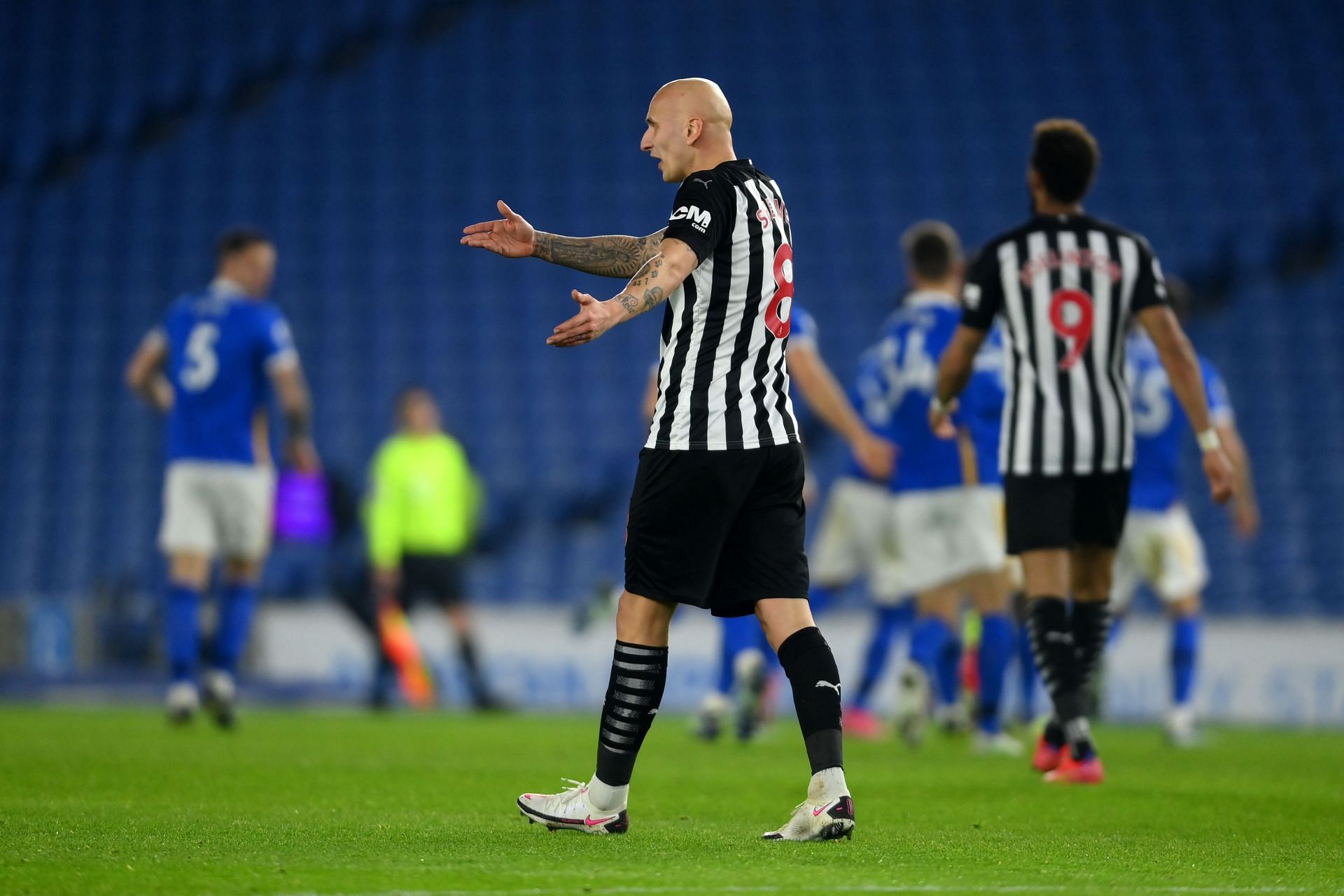 Brighton & Hove Albion v Newcastle United - Premier League